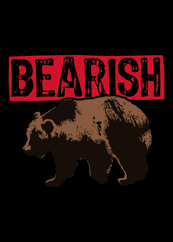 Bull Bear Market Capitalis