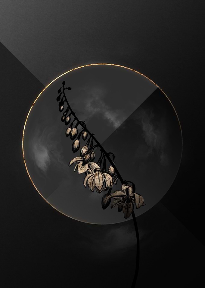 Black and Gold Floral Art