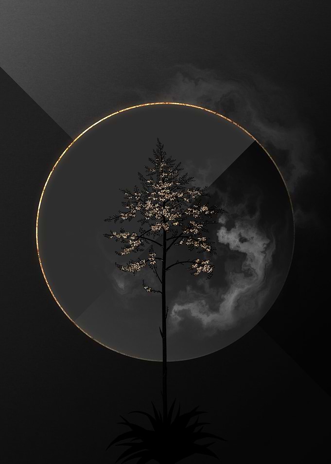 Black and Gold Floral Art