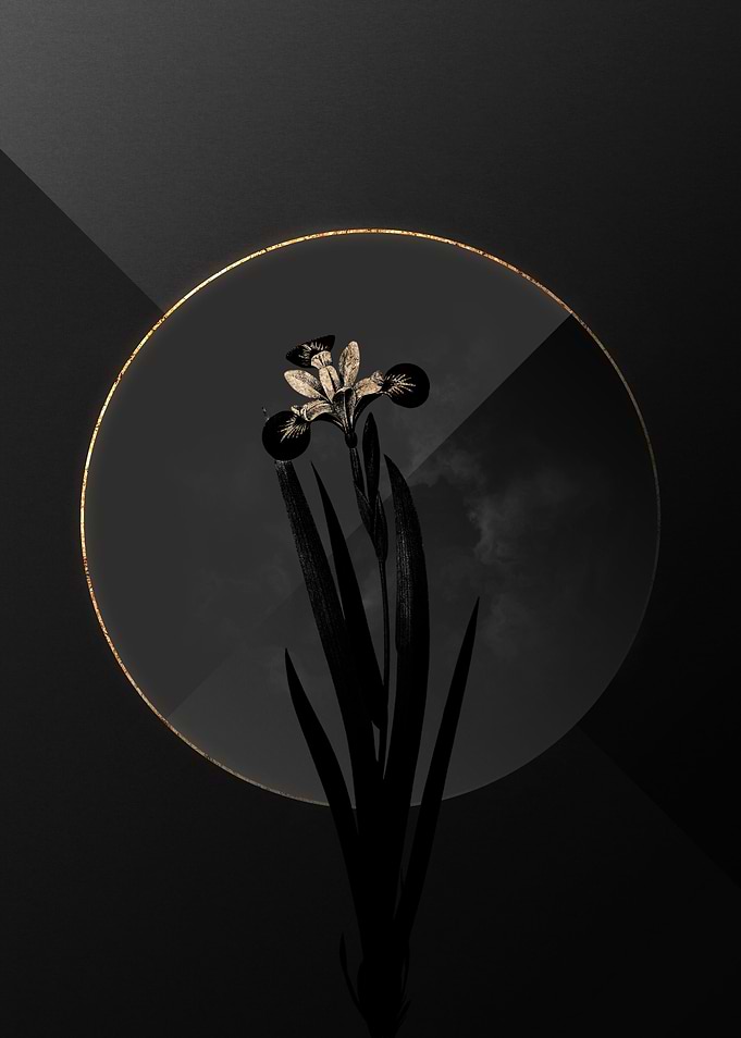 Iris Black and Gold Art