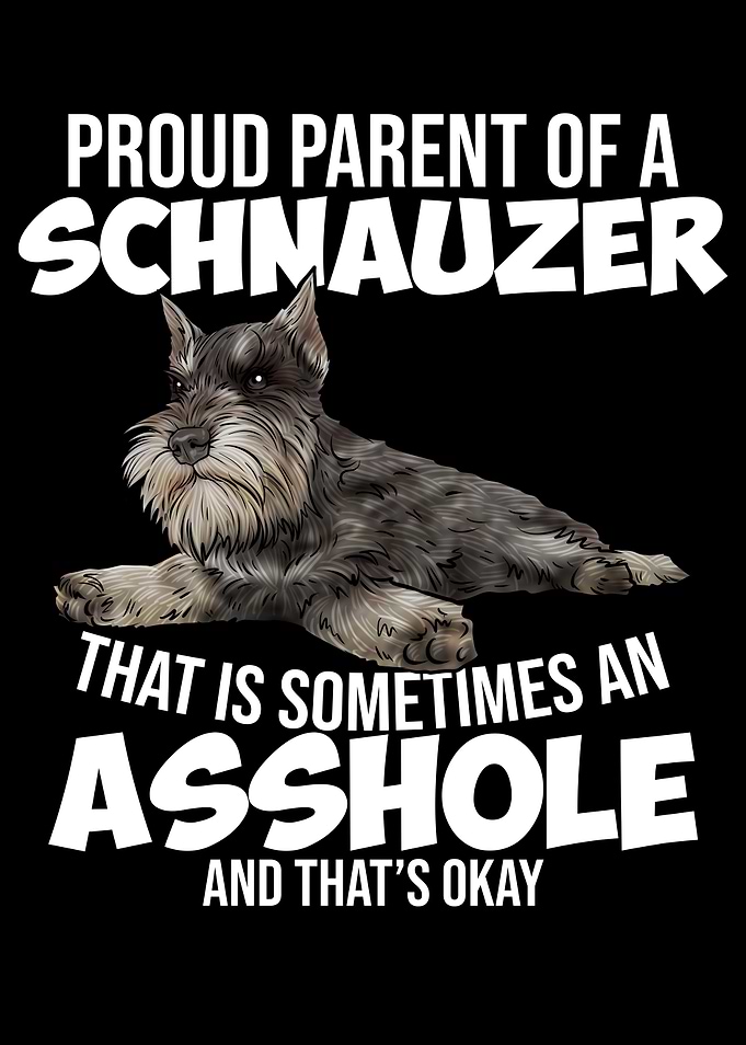 Schnauzer Dog