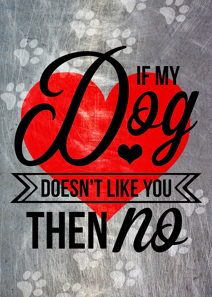 DOG DOESNT LIKE YOU METAL