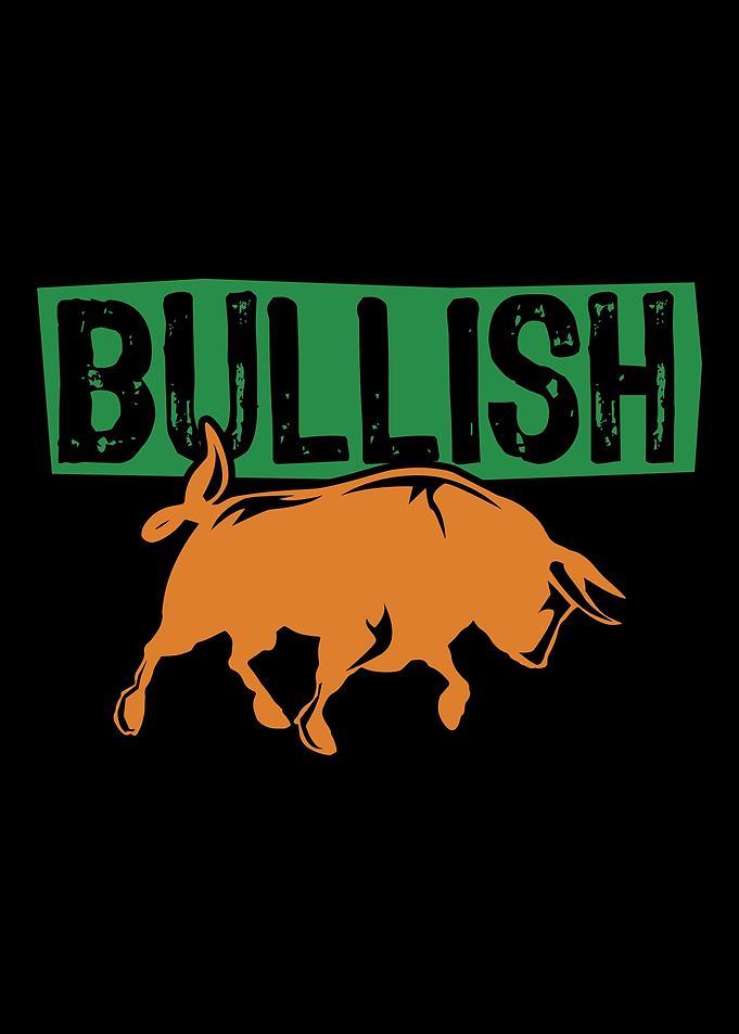 Bull Bear Market Capitalis