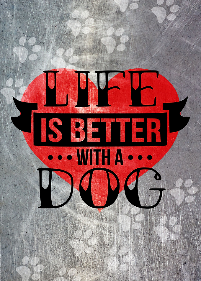 LIFE IS BETTER METAL