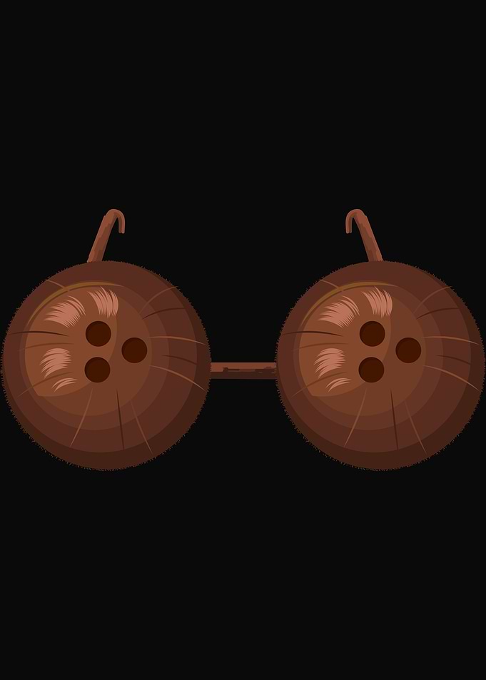 Summer Coconut Bra