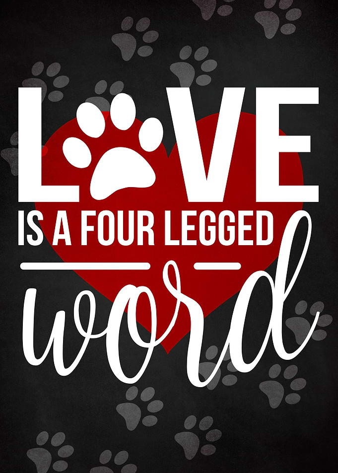 LOVE FOUR LEGGED CHALK