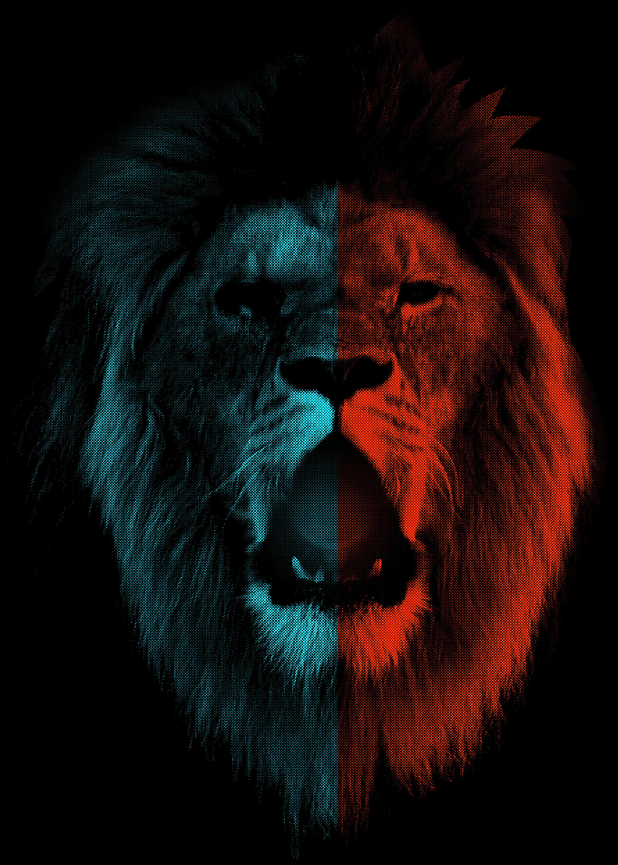 Lion Wild Big Cat Roar
