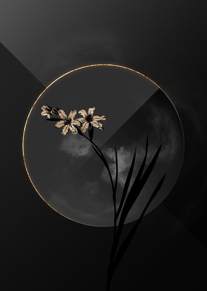 Black and Gold Floral Art