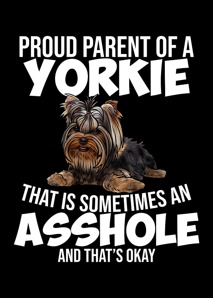 Yorkshire Terrier