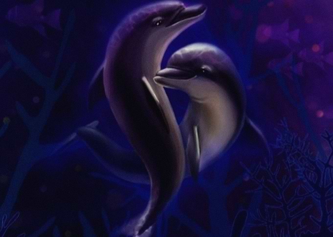 Dolphins