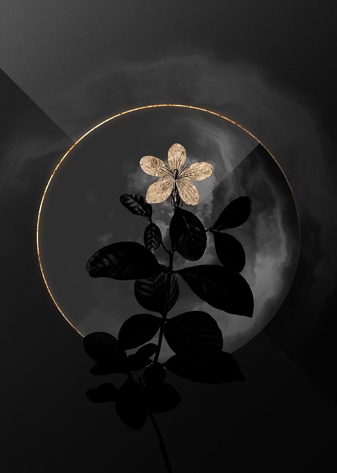 Black and Gold Floral Art