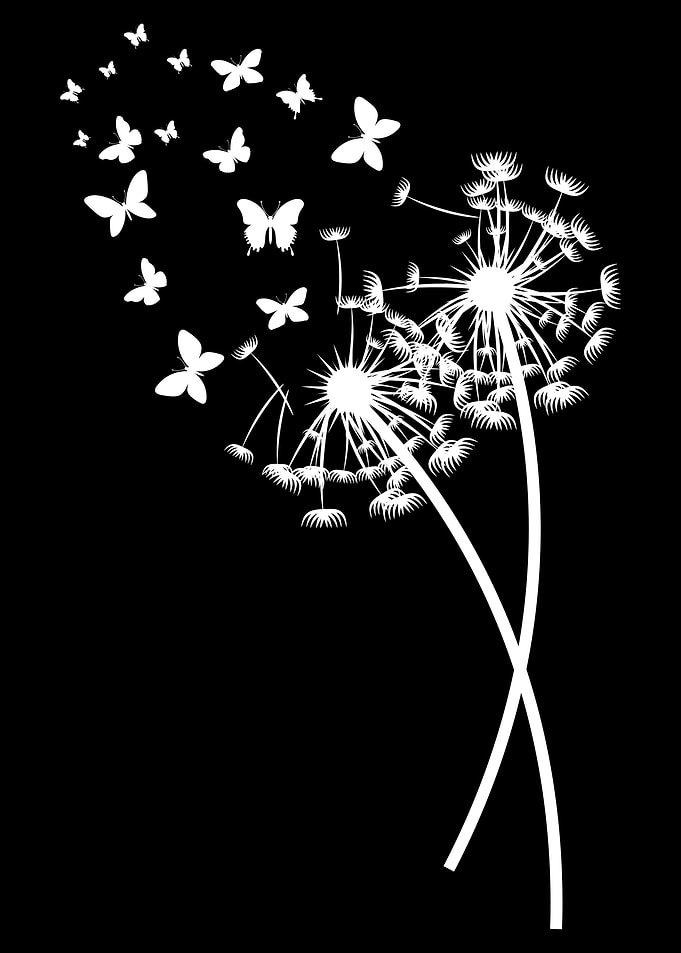 Floral Dandelion Nature