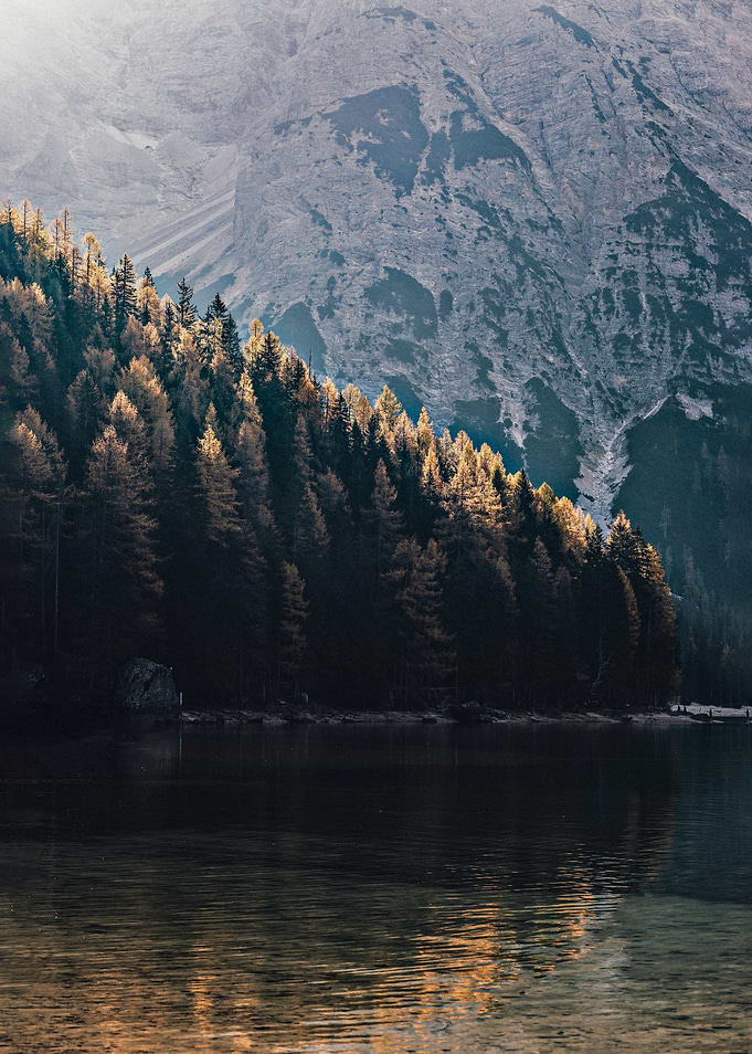 Forestlake in Norway