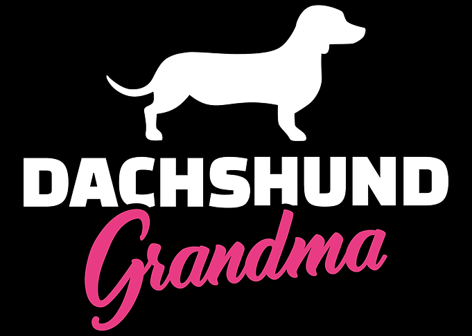 Dachshund