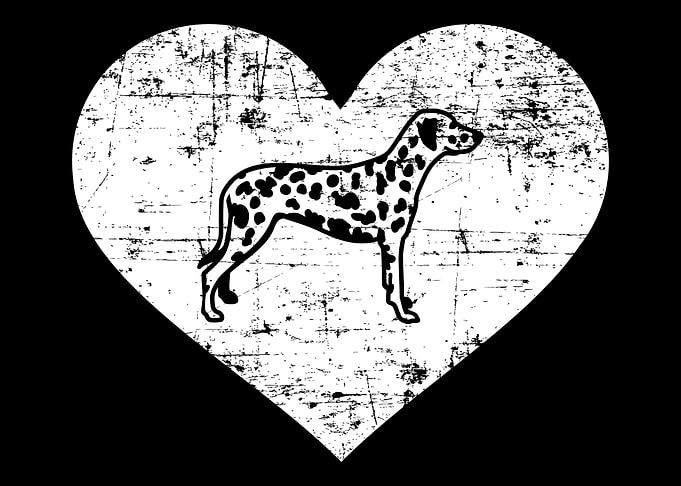Dalmatian