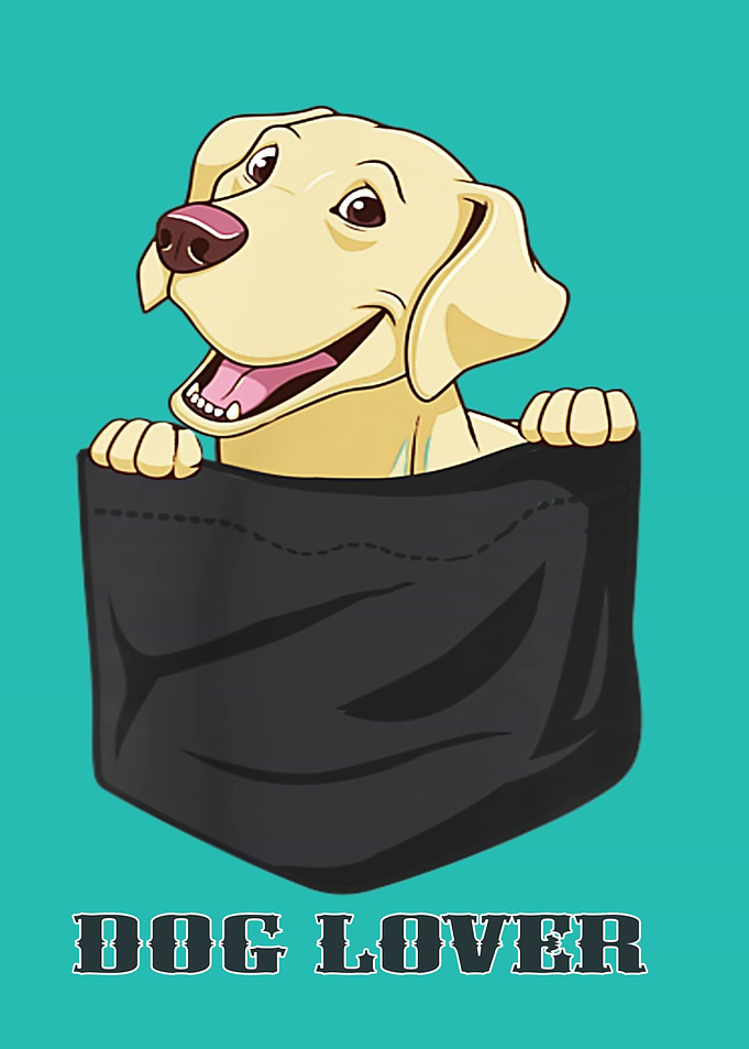 Cute Dog in a pocket