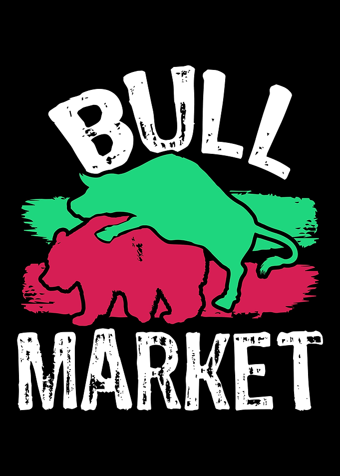 Bull Bear Market Capitalis