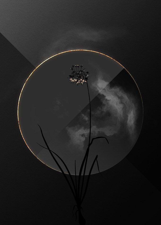 Onion Black and Gold Flora