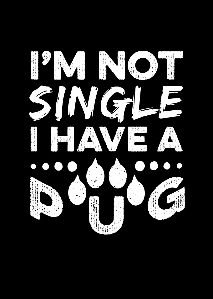 Not Single I Have A Pug