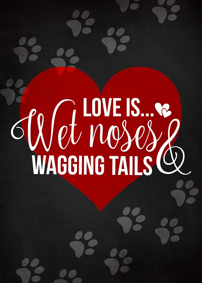LOVE WET NOSES CHALK
