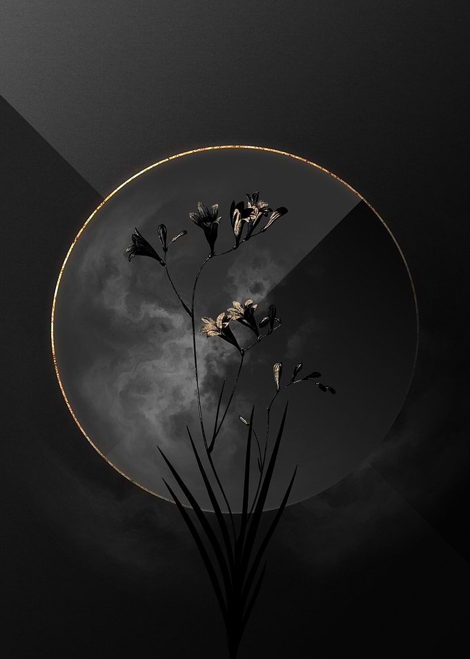 Black and Gold Floral Art