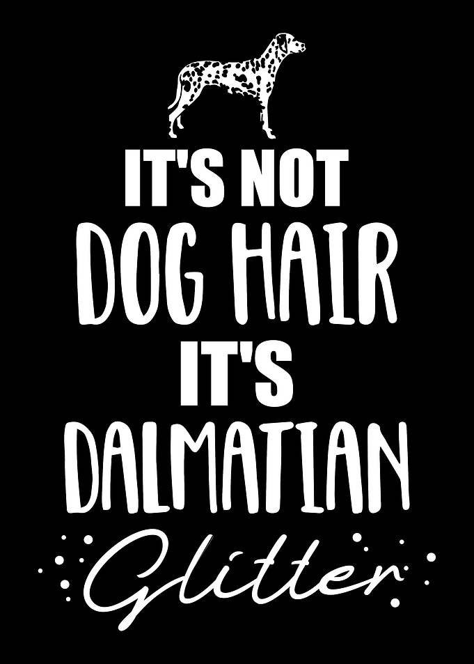 Dalmatian