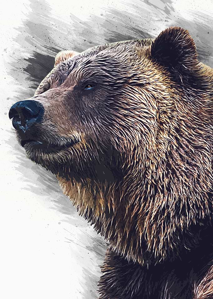 Bear