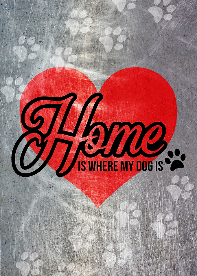 HOME DOG METAL