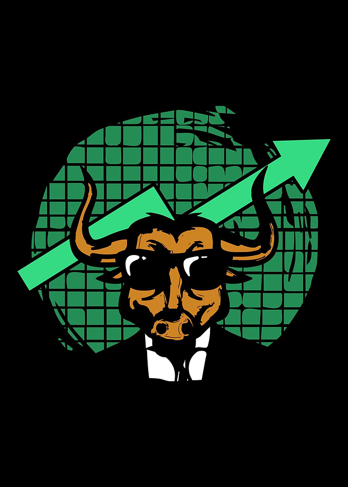 Bull Bear Market Capitalis