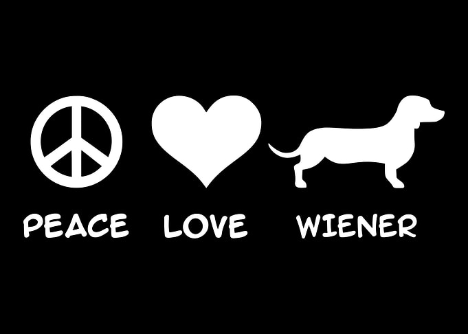Dachshund