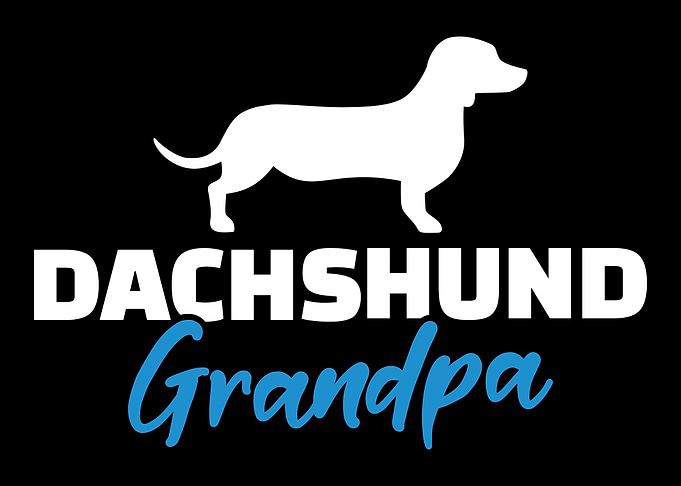 Dachshund