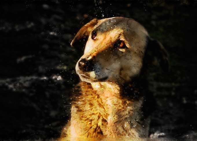Dog Watercolor Painting