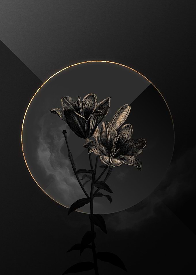 Lily Black and Gold Art