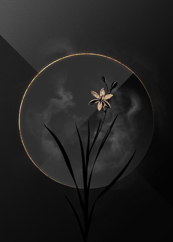 Lily Black and Gold Art