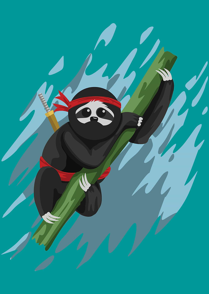 Sloth Ninja Water