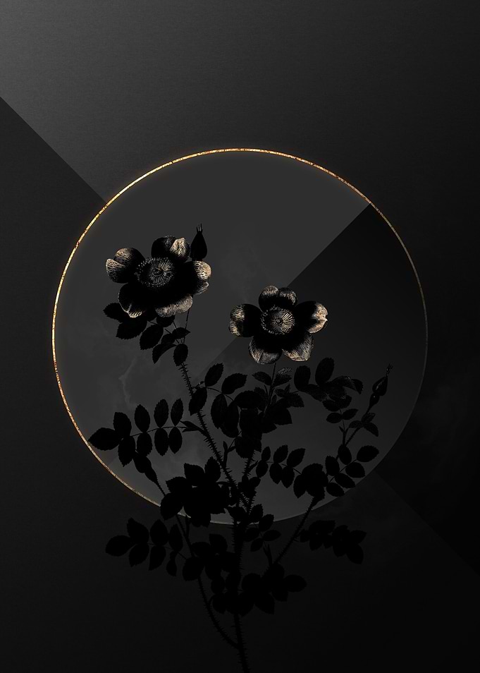 Dark Black and Gold Floral
