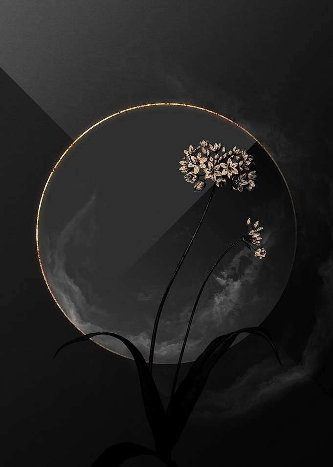 Black and Gold Botanical