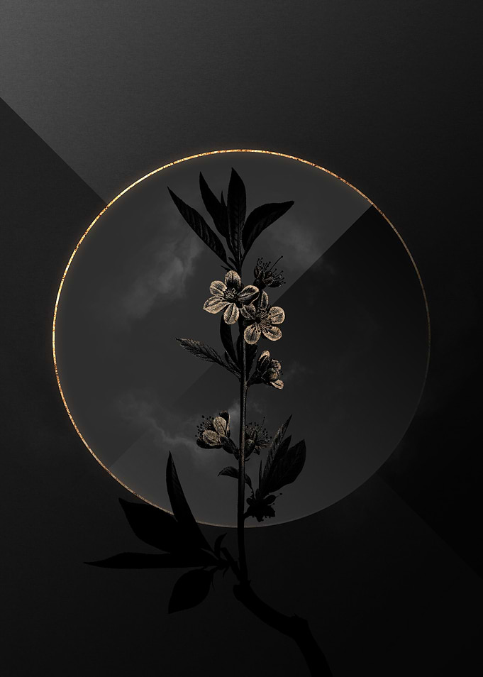 Dark Black and Gold Flower