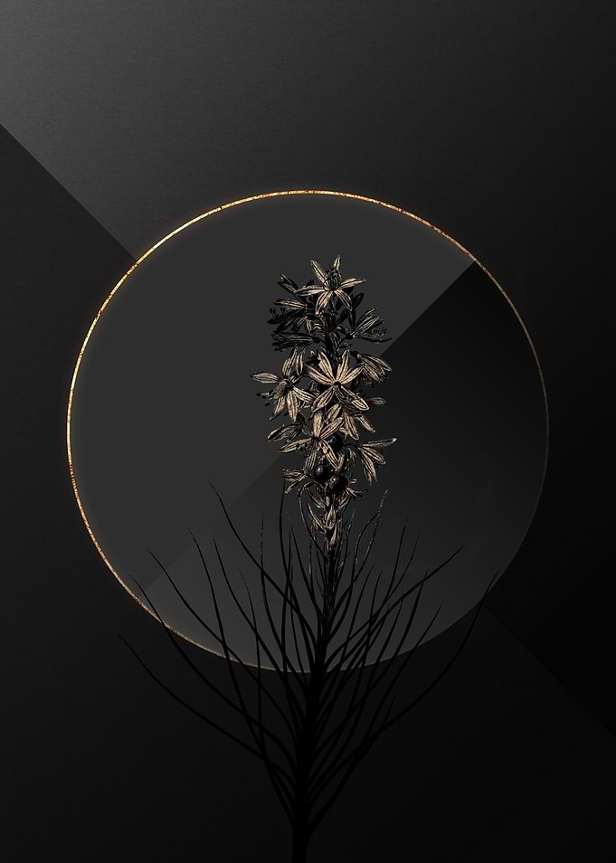 Dark Black and Gold Floral