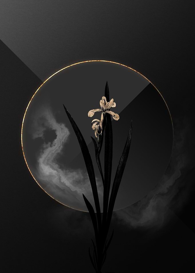 Dark Black and Gold Floral