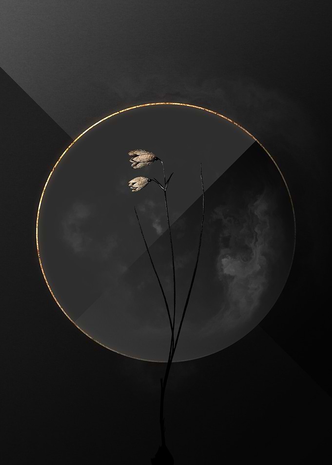 Black and Gold Botanical
