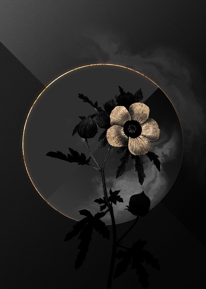 Dark Black and Gold Floral