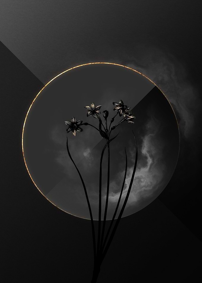 Dark Black and Gold Flower
