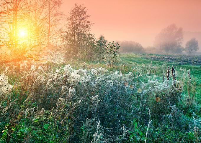 Autumn Background Beautifu