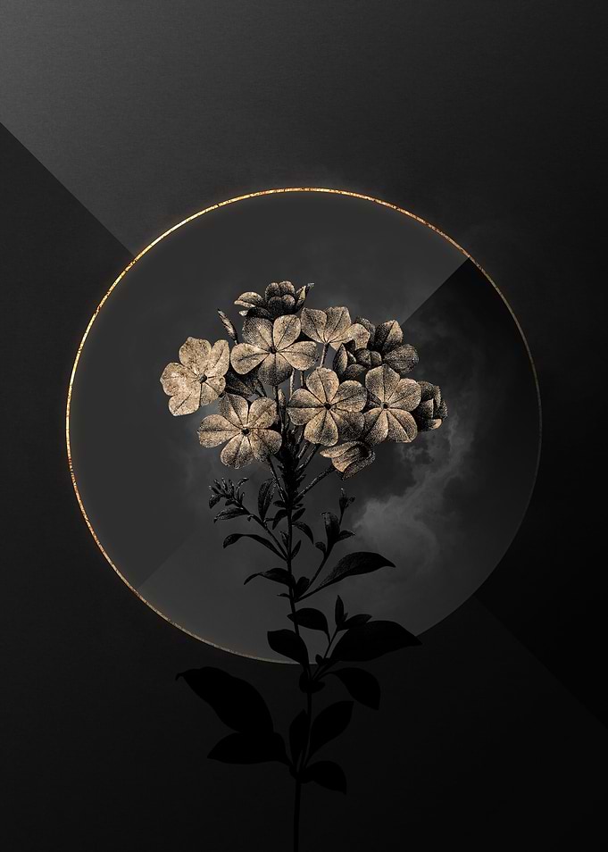 Dark Black and Gold Flower