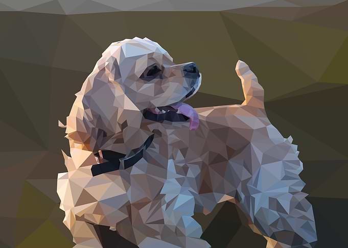 Oscar My Dog