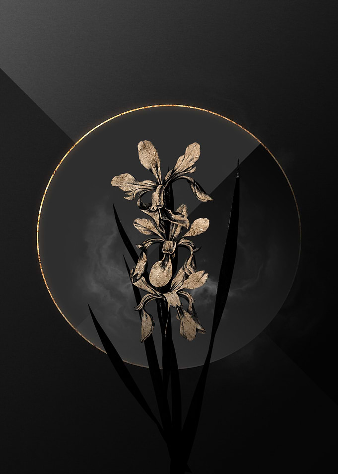 Dark Black and Gold Floral