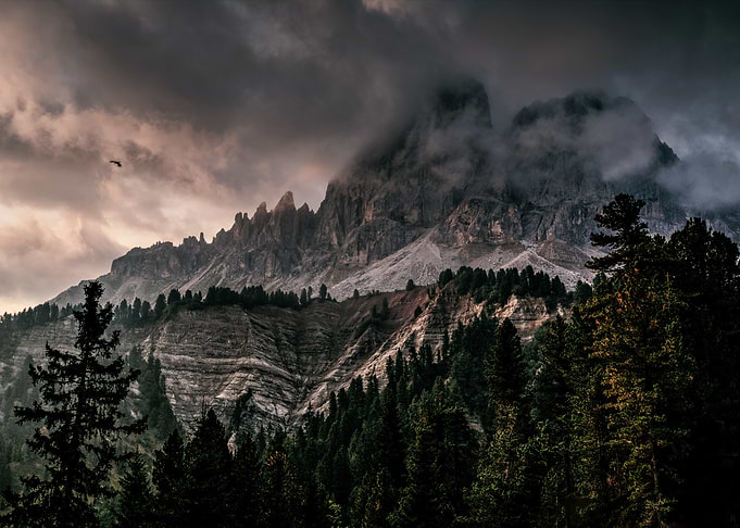Cloudy mountain forest