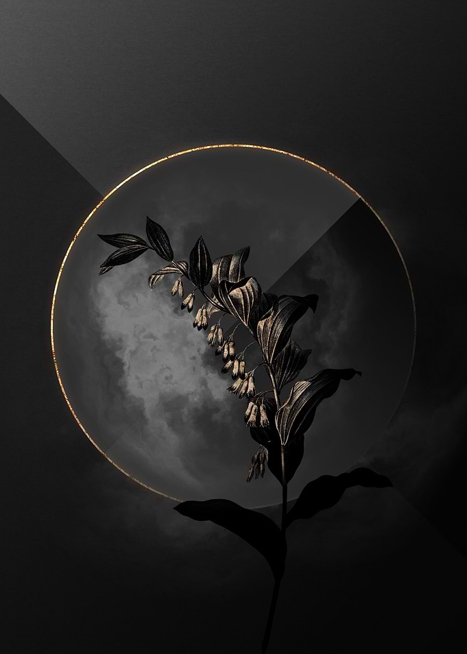Black and Gold Botanical