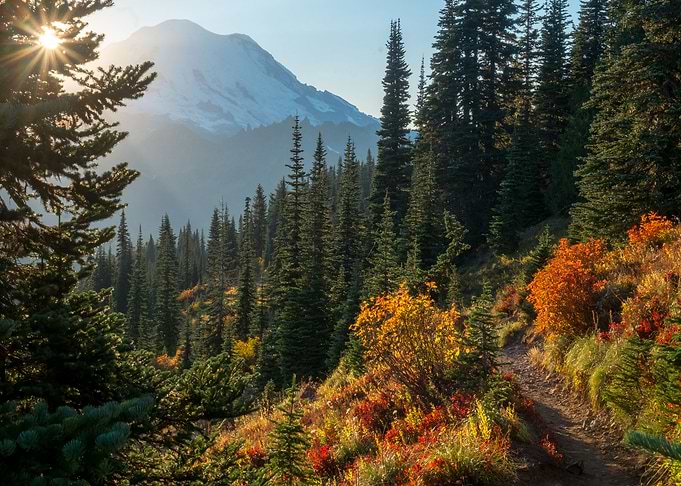 Nature